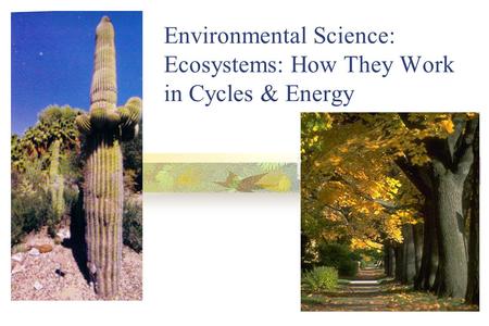 Environmental Science: Ecosystems: How They Work in Cycles & Energy.