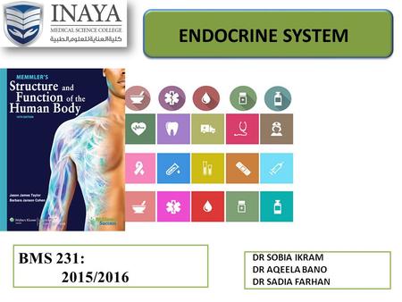 BMS 231: 2015/2016 ENDOCRINE SYSTEM DR SOBIA IKRAM DR AQEELA BANO DR SADIA FARHAN.