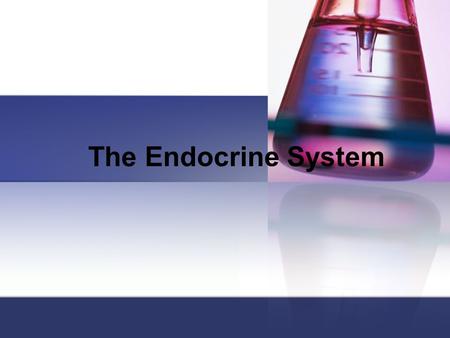 The Endocrine System. System Overview Includes cells, tissues, and organs that secrete hormones directly into the body fluids Endocrine vs. exocrine.
