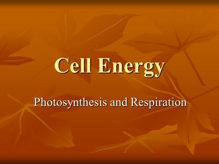 Cell Energy Photosynthesis and Respiration. How do Cells Store Energy? Adenosine Triphosphate (ATP) – the molecule where the energy is stored for cell.
