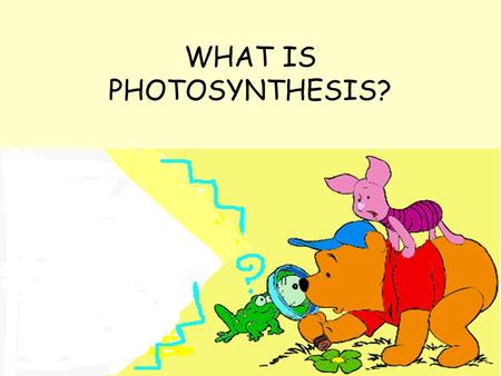 WHAT IS PHOTOSYNTHESIS? Animals get their energy from the food they eat through the process of respiration with the help of the digestive system, the.