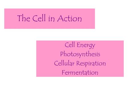 The Cell in Action Cell Energy Photosynthesis Cellular Respiration Fermentation.