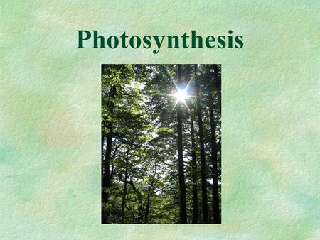Photosynthesis. 4.1 How do living things get ATP? ATP is the energy carrier in living things – it is usable energy for the cell (chemical potential energy).