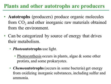 Autotrophs (producers) produce organic molecules from CO 2 and other inorganic raw materials obtained from the environment. Can be categorized by source.