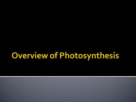 Overview of Photosynthesis