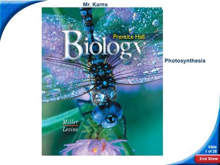 End Show Slide 1 of 28 Biology Mr. Karns Photosynthesis.
