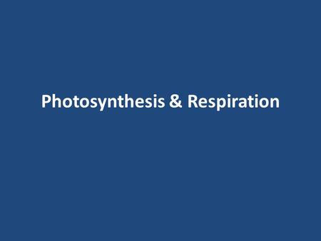 Photosynthesis & Respiration. Photosynthesis The process is a chemical reaction.