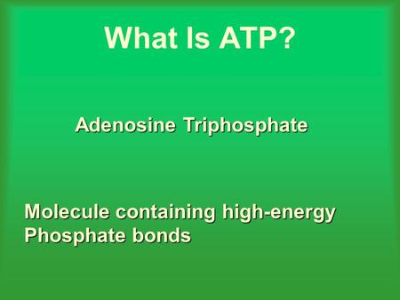 What Is ATP? Adenosine Triphosphate Molecule containing high-energy Phosphate bonds.