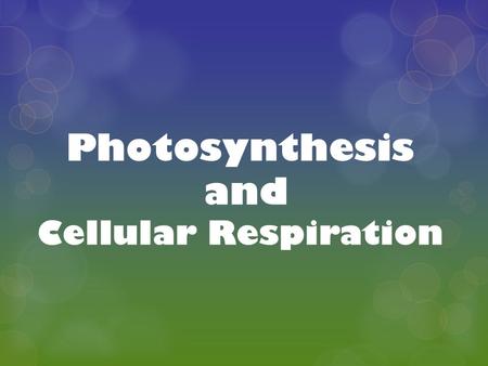 Photosynthesis and Cellular Respiration. ENERGY and LIFE  All living things need energy in order to carry out life processes.  Plants are called autotrophs.