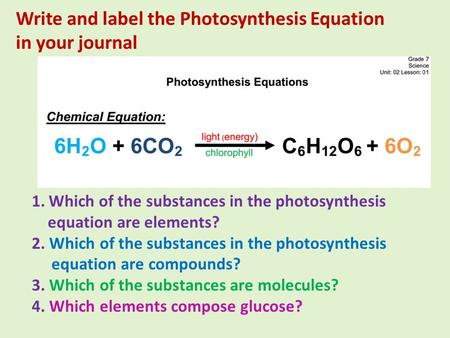 Write and label the Photosynthesis Equation in your journal 1.Which of the substances in the photosynthesis equation are elements? 2. Which of the substances.