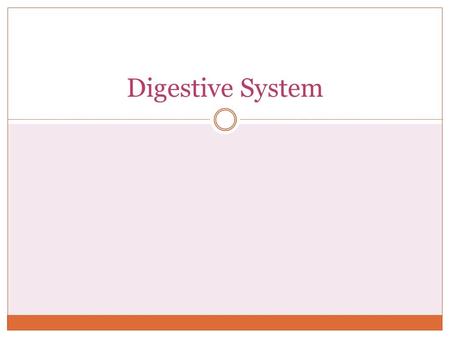Digestive System. Functions Ingestion  Food enters digestive tract through mouth Mechanical Processing  Physical manipulation of solid food (by t0ngue.