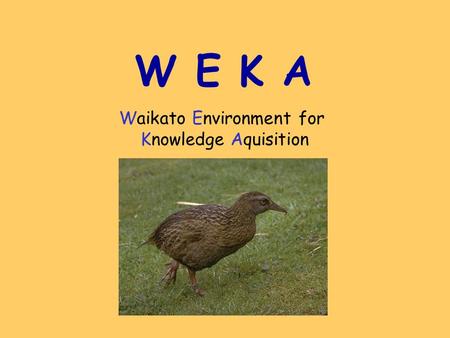 W E K A Waikato Environment for Knowledge Aquisition.