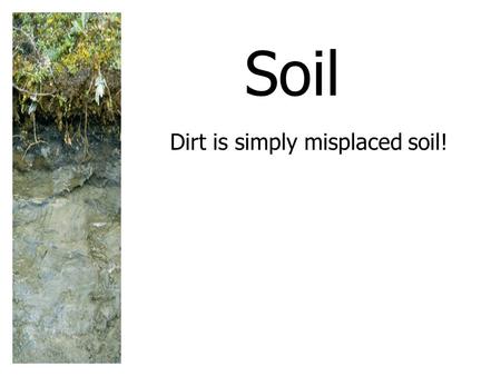 Soil Dirt is simply misplaced soil!. SOIL: A RENEWABLE RESOURCE Soil is a slowly renewed resource that provides most of the nutrients needed for plant.