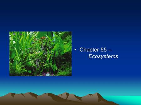 Chapter 55 – Ecosystems. Energy and Nutrient Dynamics Trophic structure / levels - feeding relationships in an ecosystem Primary producers - the trophic.