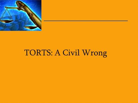TORTS: A Civil Wrong. Fairplay.org What is a Tort? A civil wrong A breach of some obligation Causing harm or injury to someone –Negligence –Libel Plaintiff.