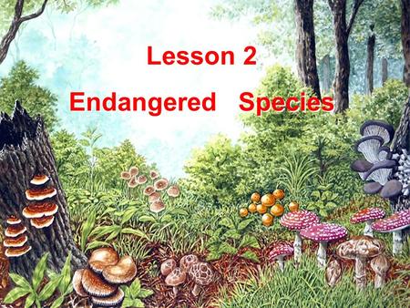 Lesson 2 Endangered Species.