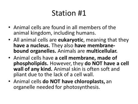 Station #1 Animal cells are found in all members of the animal kingdom, including humans. All animal cells are eukaryotic, meaning that they have a nucleus.