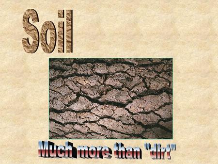 Soil Much more than dirt.