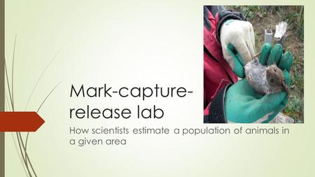 Mark-capture-release lab