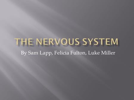 By Sam Lapp, Felicia Fulton, Luke Miller.  Is body system that manages bodily activity by sending and receiving signals between the brain, spinal chord.
