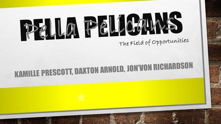 PELLA PELICANS KAMILLE PRESCOTT, DAXTON ARNOLD, JON’VON RICHARDSON The Field of Opportunities Pella Pelicans.
