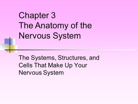 The Systems, Structures, and Cells That Make Up Your Nervous System