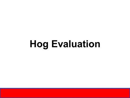 Hog Evaluation. PARTS Crest Blade Forearm Knee Pastern Dewclaw Sheath Flank Hock HipLoin Top Ham Elbow Pock et Stifle x Ham-Loin Junction Cannon Jaw line/Jowl.