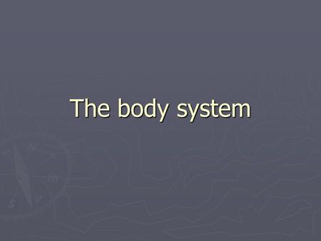 The body system. mouth The mouth is the first thing you use in the digestive system.