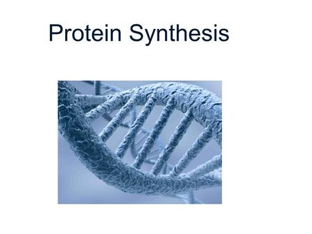Protein Synthesis DNA.