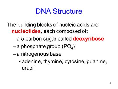 1 DNA Structure The building blocks of nucleic acids are nucleotides, each composed of: –a 5-carbon sugar called deoxyribose –a phosphate group (PO 4 )