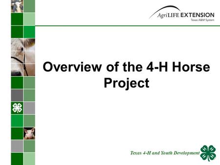 Overview of the 4-H Horse Project Texas 4-H and Youth Development.