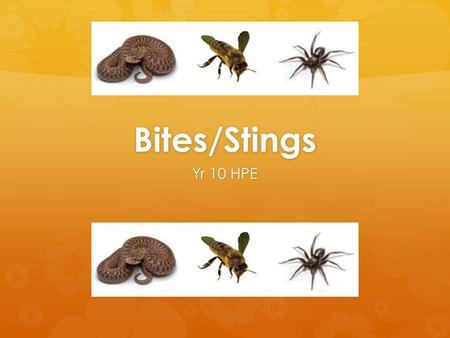 Bites/Stings Yr 10 HPE. Lesson Overview  Venomous bites and stings  Snakebites  Spider bites  Insect stings  Allergic reaction to a sting  Animal.