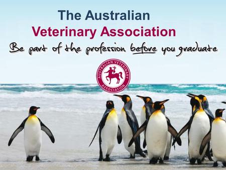 The Australian Veterinary Association. Presenter Background Name Role in the AVA Position Background ….. Contact email.