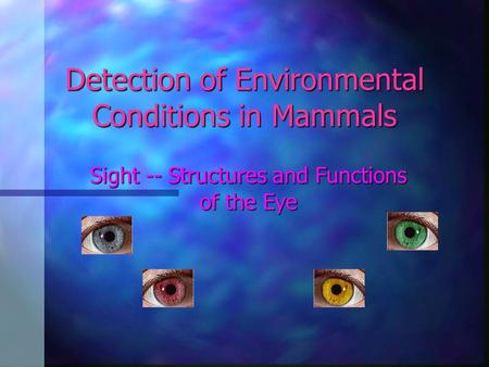 Detection of Environmental Conditions in Mammals Sight -- Structures and Functions of the Eye.
