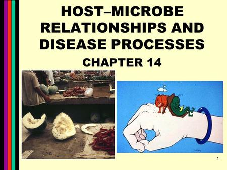 HOST–MICROBE RELATIONSHIPS AND DISEASE PROCESSES