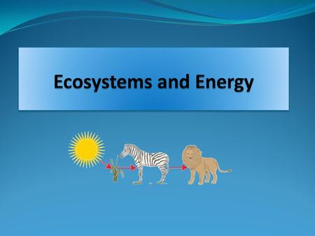 Life on Earth depends on three interconnected factors: The one-way flow of high quality energy sun living things (feeding interactions) environment (low.