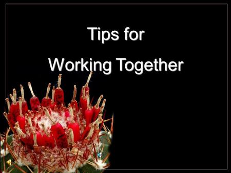 Tips for Working Together. Cochemiea poselgeri Take a 10-30 minutes walk every day. And while you walk, smile.