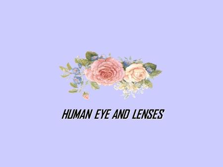 HUMAN EYE AND LENSES. INTRODUCTION Eye is the light-sensitive organ of vision in animals. The actual process of seeing is performed by the brain rather.