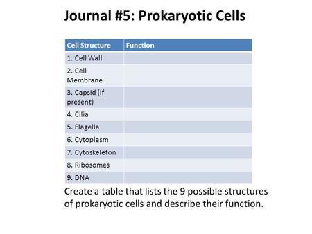 Journal #5: Prokaryotic Cells Cell StructureFunction 1. Cell Wall 2. Cell Membrane 3. Capsid (if present) 4. Cilia 5. Flagella 6. Cytoplasm 7. Cytoskeleton.
