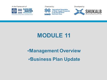 In the Framework of: Financed by: Developed by: MODULE 11 Management Overview Business Plan Update.