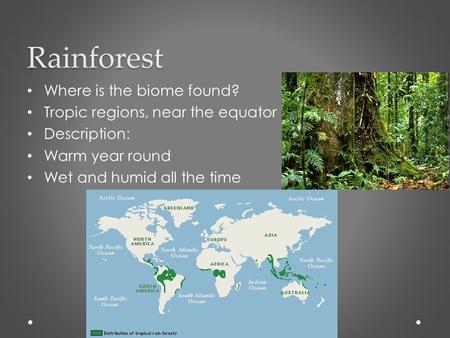 Rainforest Where is the biome found? Tropic regions, near the equator Description: Warm year round Wet and humid all the time.