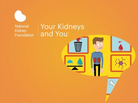 The National Kidney Foundation is the largest organization in the U.S., dedicated to the awareness, prevention, and treatment of kidney disease.
