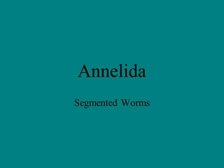 Annelida Segmented Worms. N0- not that kind of worm!