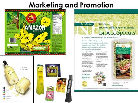 Marketing and Promotion