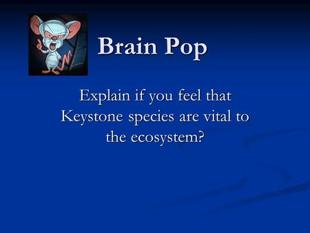 Brain Pop Explain if you feel that Keystone species are vital to the ecosystem?