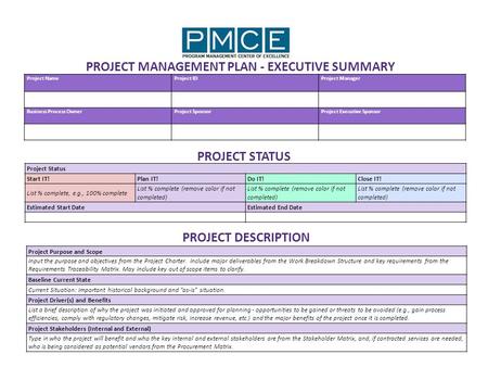 PROJECT MANAGEMENT PLAN - EXECUTIVE SUMMARY