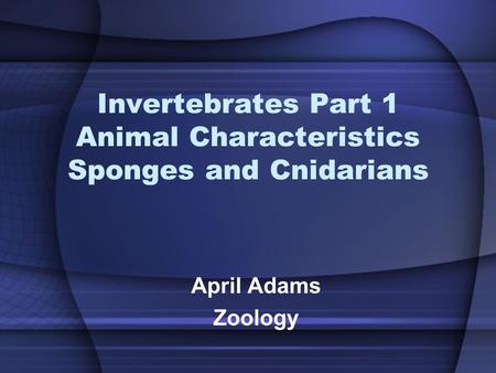 Invertebrates Part 1 Animal Characteristics Sponges and Cnidarians