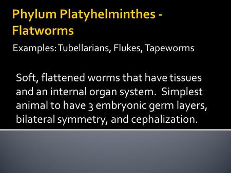 Examples: Tubellarians, Flukes, Tapeworms Soft, flattened worms that have tissues and an internal organ system. Simplest animal to have 3 embryonic germ.