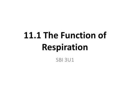 11.1 The Function of Respiration
