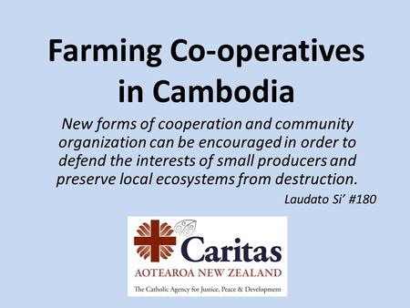 Farming Co-operatives in Cambodia New forms of cooperation and community organization can be encouraged in order to defend the interests of small producers.